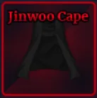 Jinwoo Cape in Sailor Piece