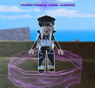Observation Haki Trainer in Sailor Piece