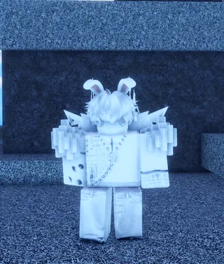 Mink in Sailor Piece